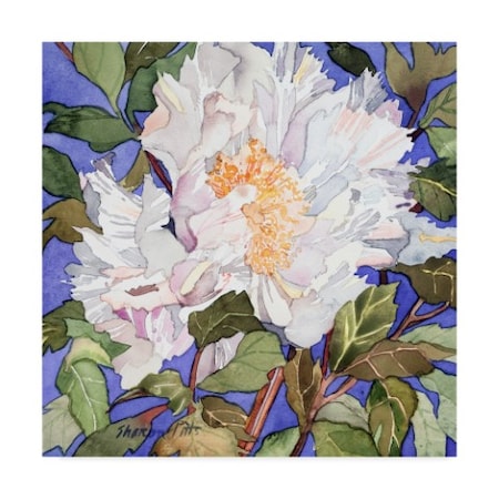Trademark Fine Art Sharon Pitts 'White Peony Dark Blue' Canvas Art, 35x35 ALI43447-C3535GG